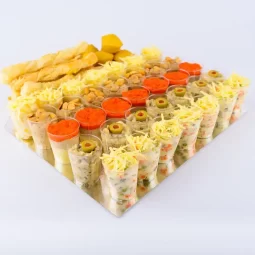 POSNA SALATA PLATA