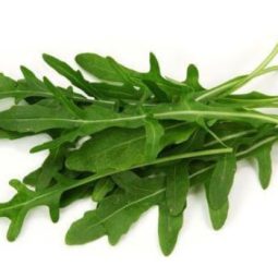 Rukola, 100g
